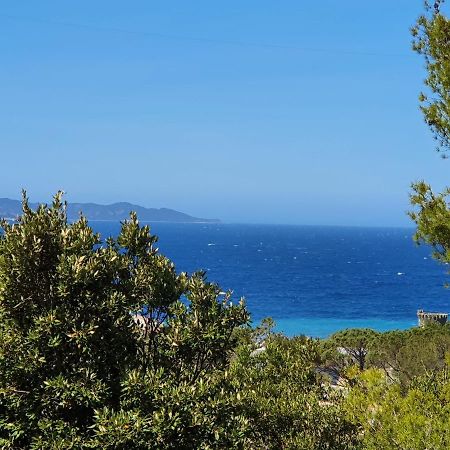 Les Gites Du Cap Corse Nonza Exterior foto