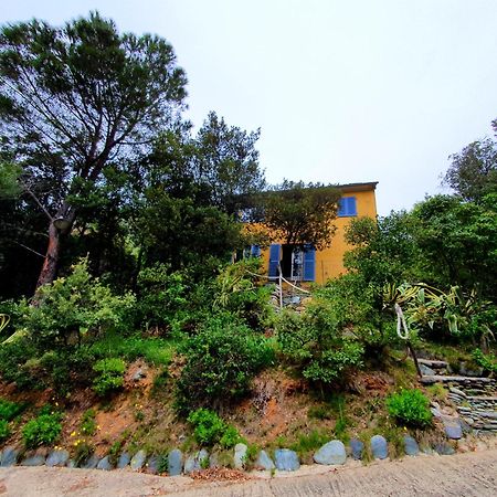 Les Gites Du Cap Corse Nonza Exterior foto