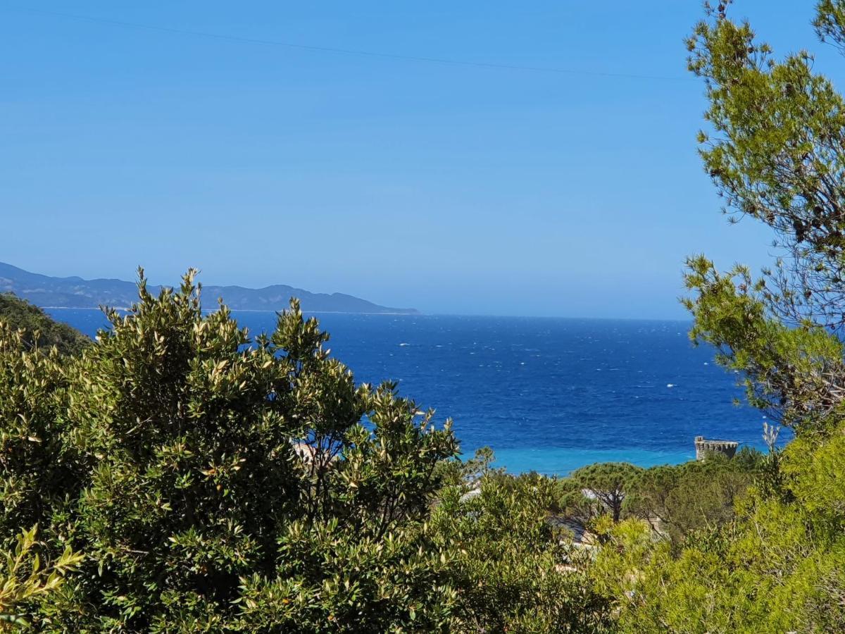 Les Gites Du Cap Corse Nonza Exterior foto
