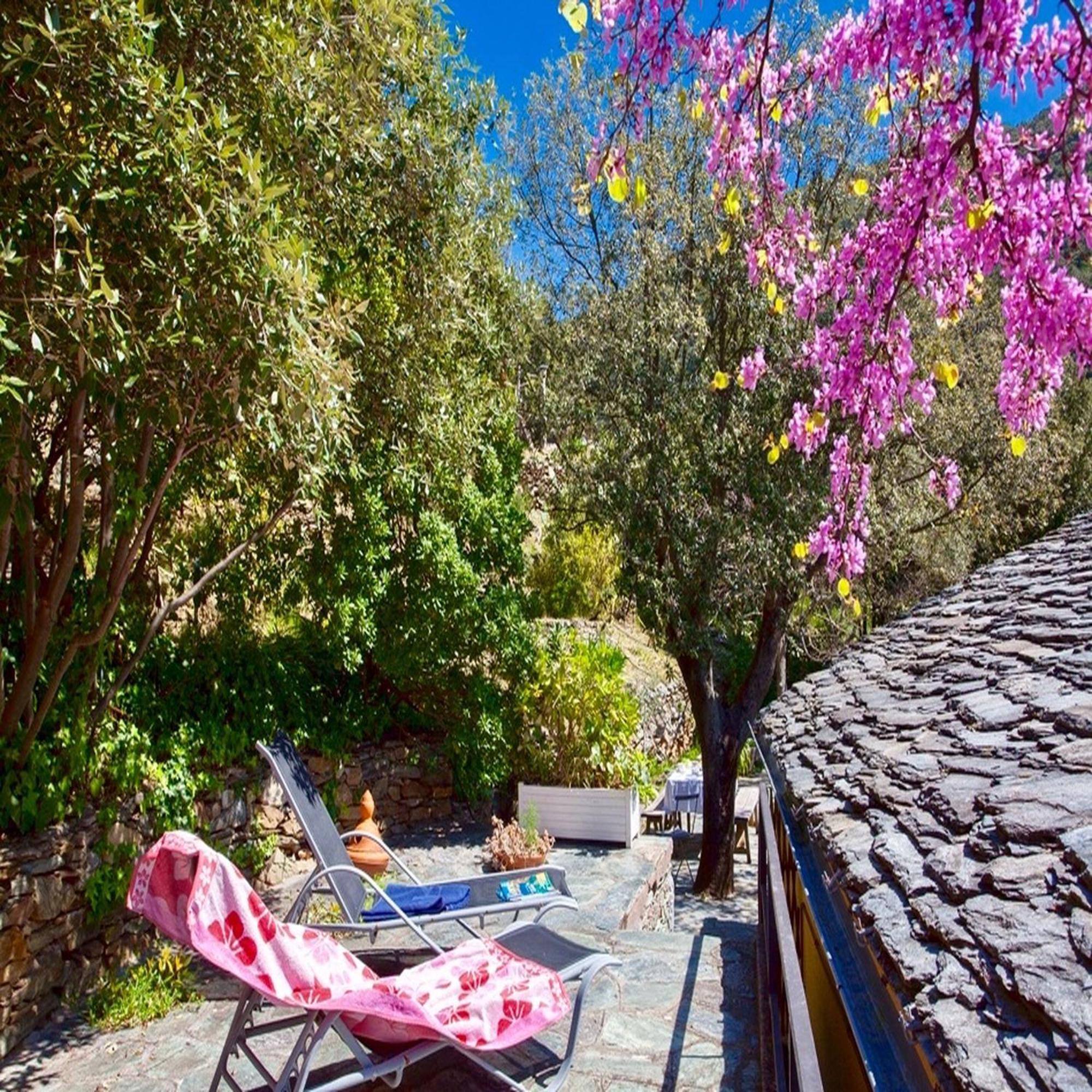 Les Gites Du Cap Corse Nonza Exterior foto