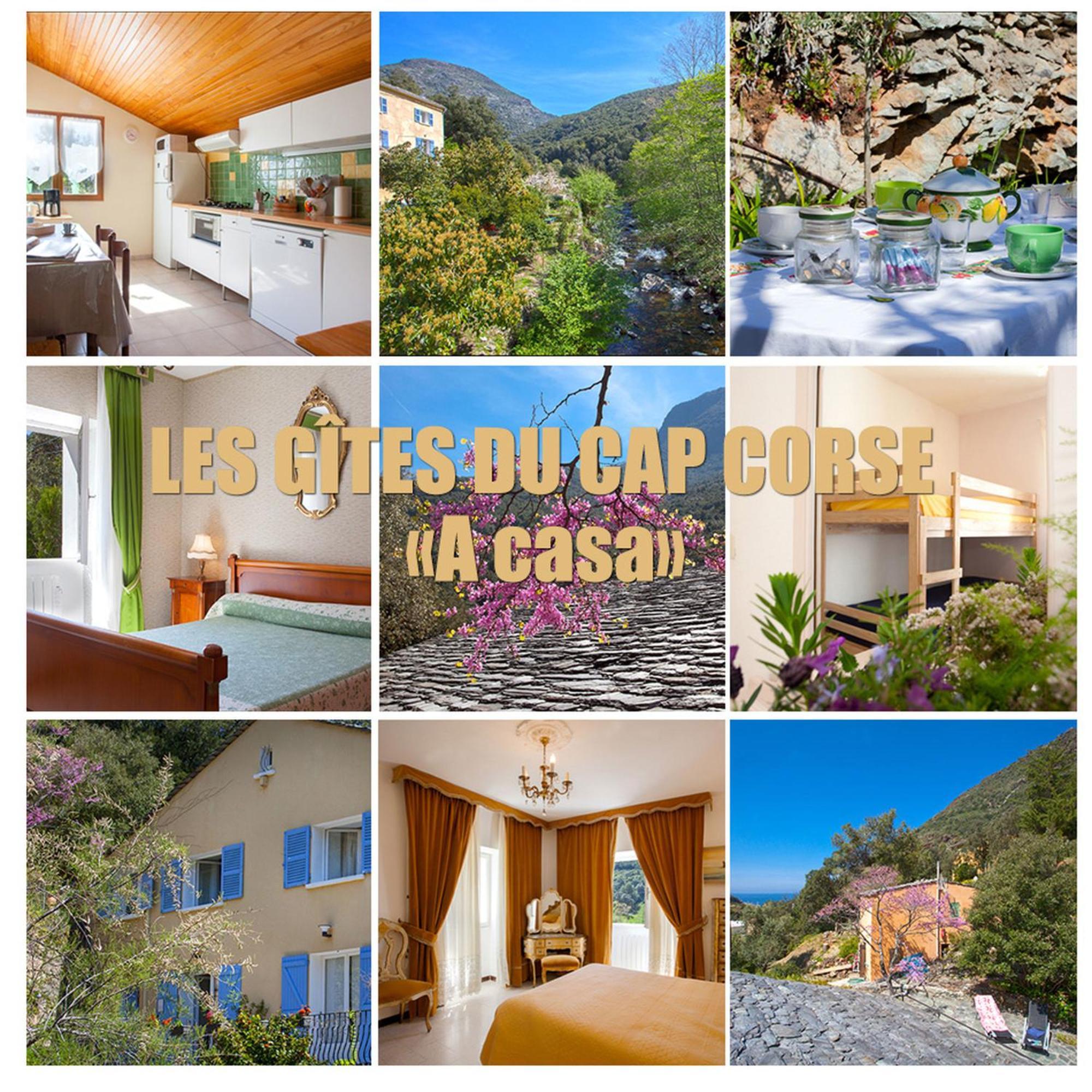 Les Gites Du Cap Corse Nonza Exterior foto
