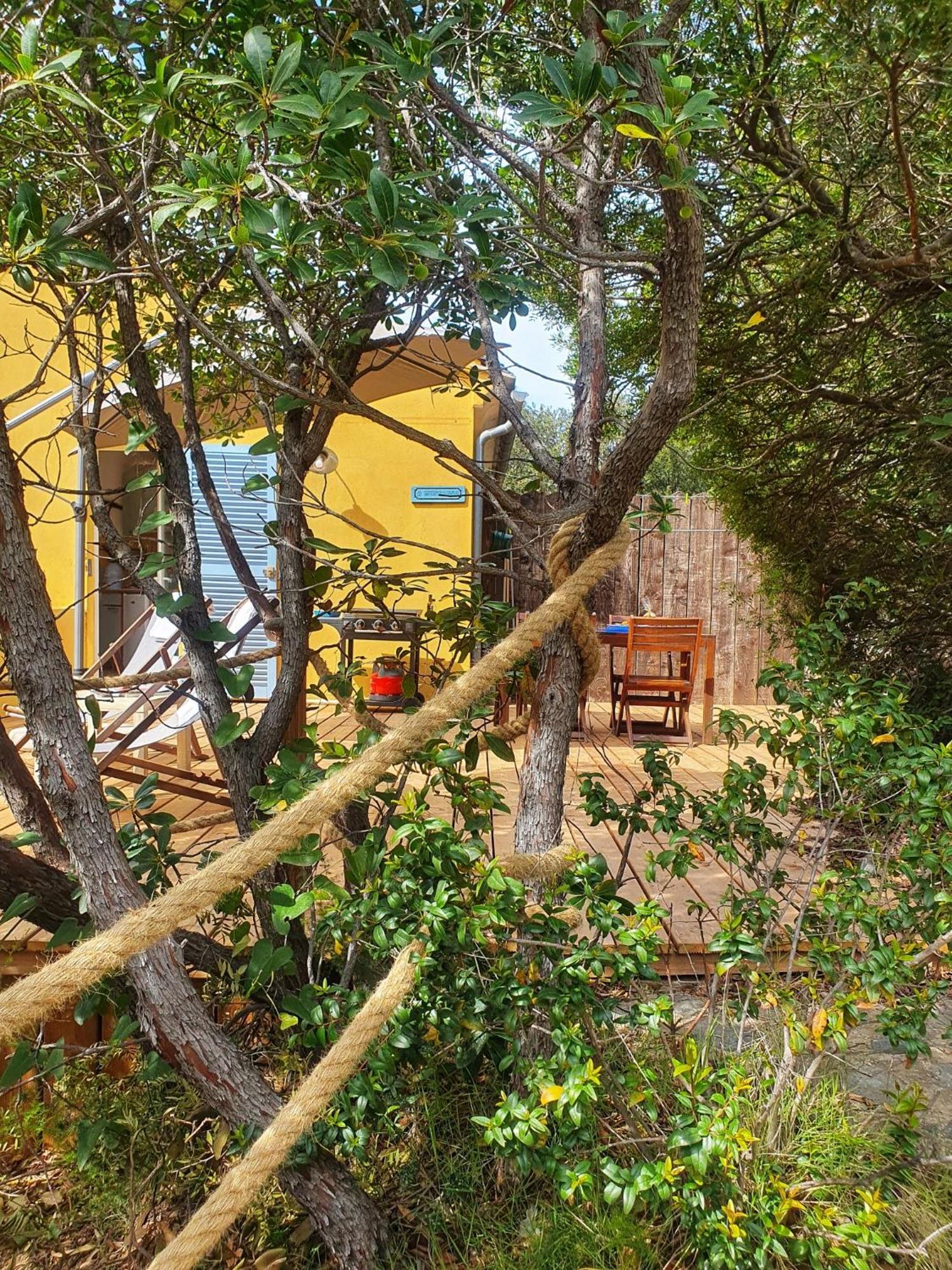 Les Gites Du Cap Corse Nonza Exterior foto