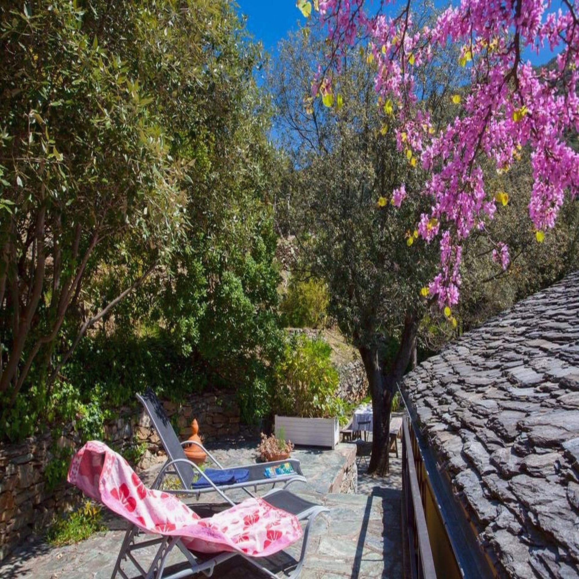 Les Gites Du Cap Corse Nonza Zimmer foto