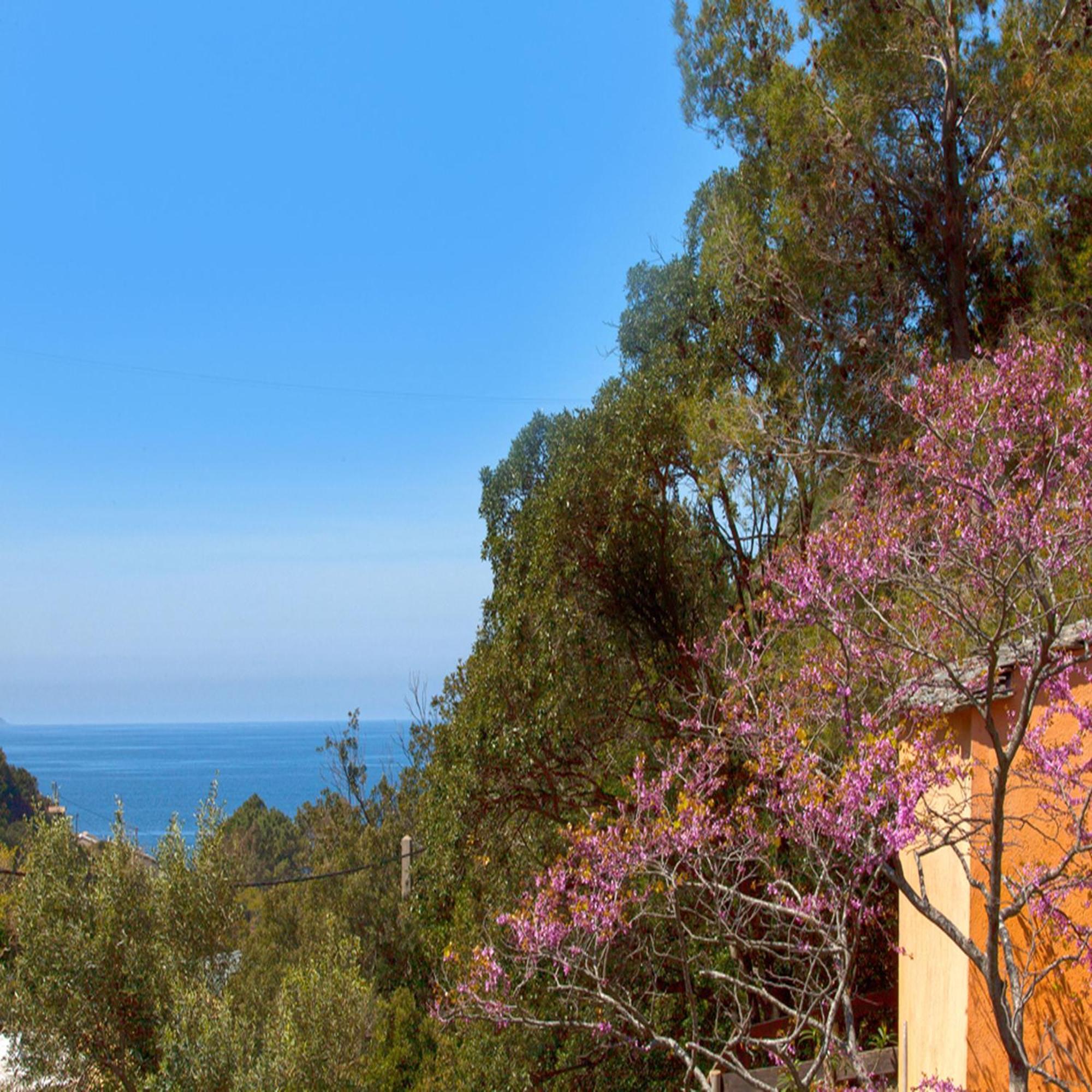 Les Gites Du Cap Corse Nonza Zimmer foto