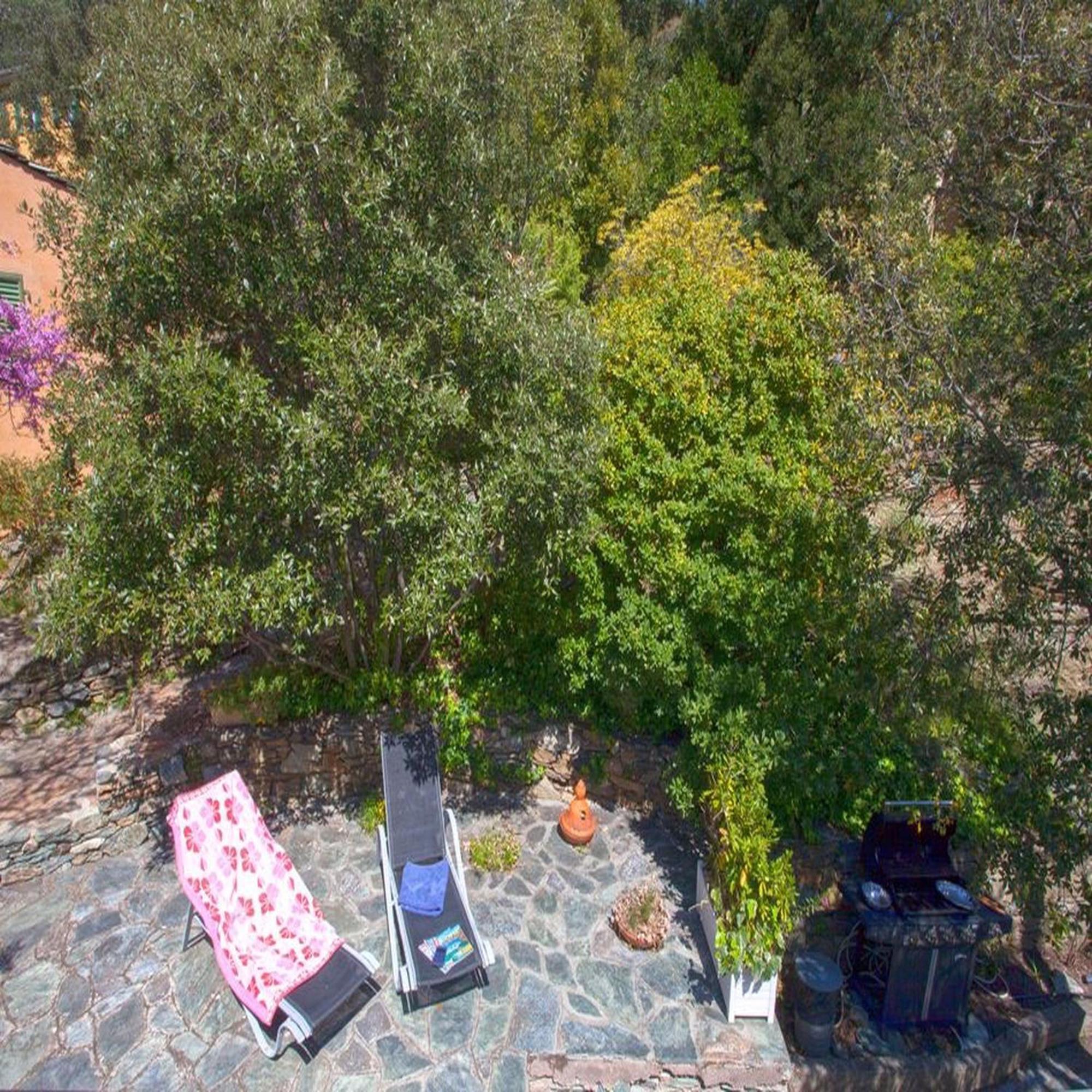 Les Gites Du Cap Corse Nonza Zimmer foto