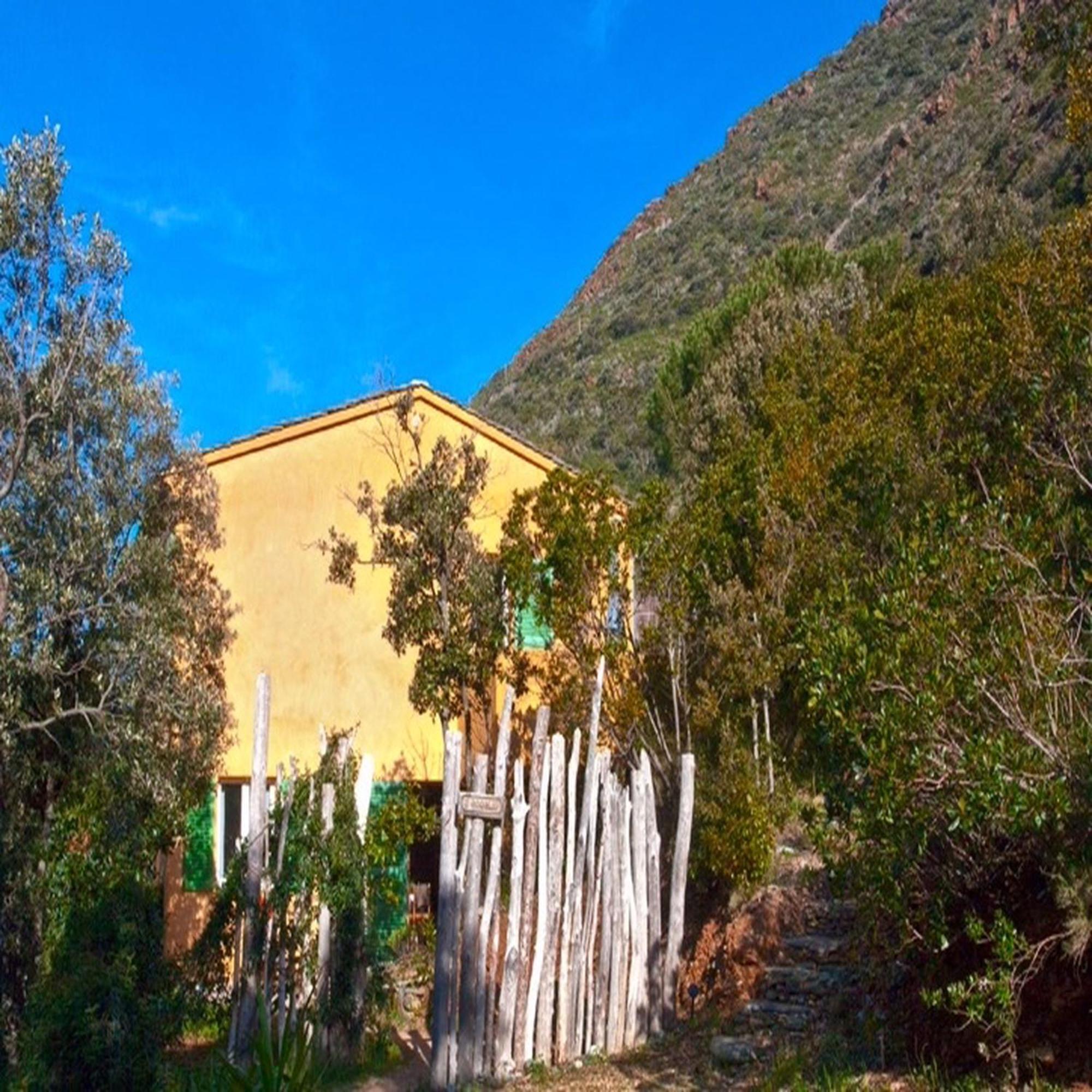 Les Gites Du Cap Corse Nonza Zimmer foto